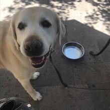 Another Broken Egg Cafe restaurant view 1