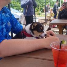 Stony Run Brew House restaurant view 1