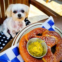 Altdorf Biergarten restaurant view 7