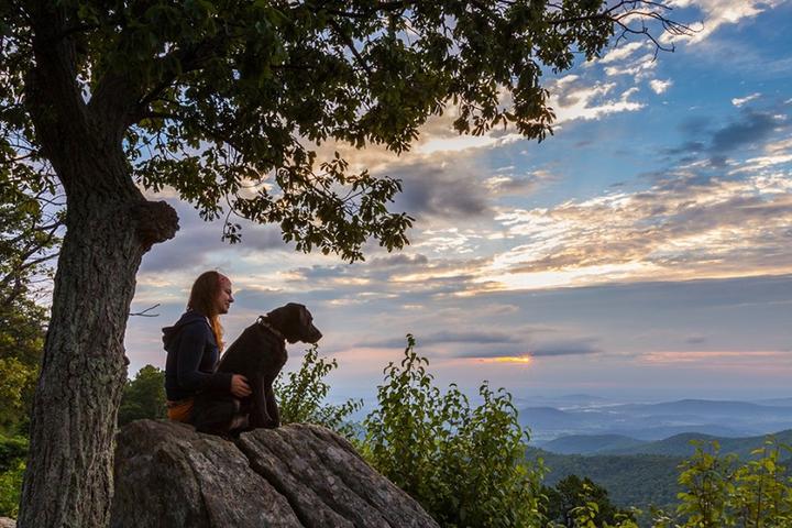 Woman and Dog Gaze at the View in the Pet-Friendly Shenandoah National Park.