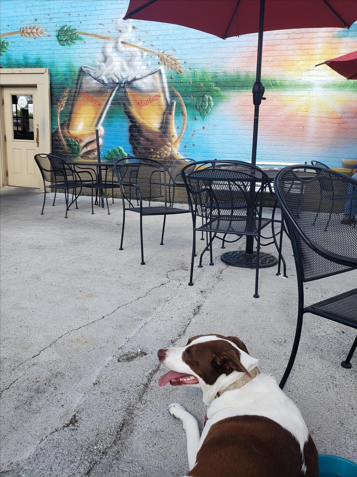 Mad Anthony Brewing Co. restaurant view 2