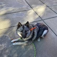 Granite's Famous Cheesesteaks & Wings restaurant view 3