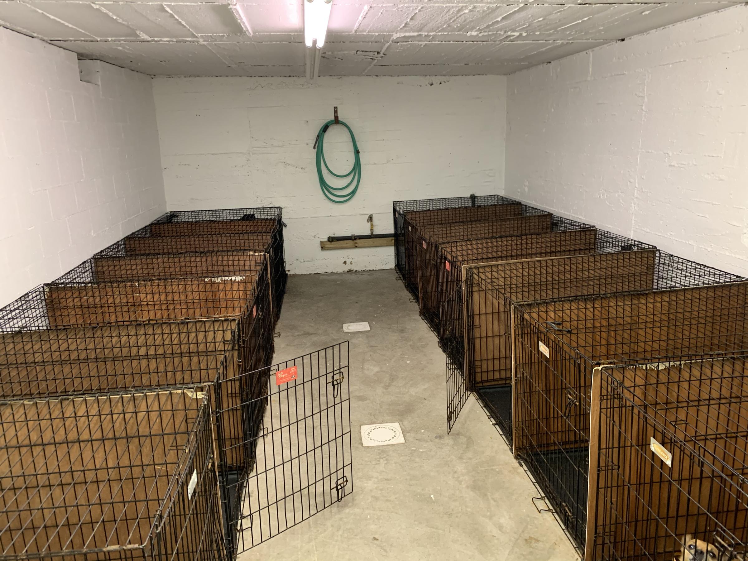 Kennels ⋆ BringFido