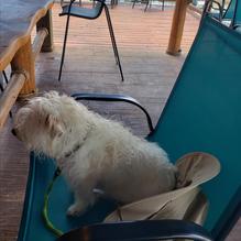 Marina Bar & Grill restaurant view 2