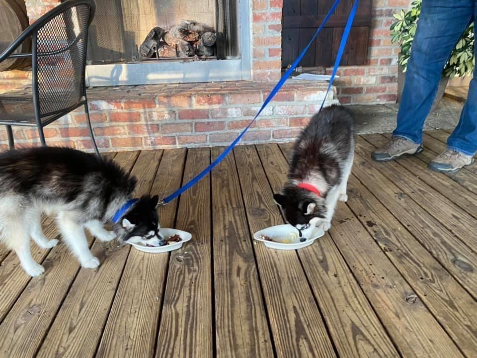 The Smiling Dog restaurant view 8