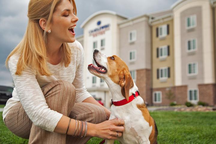 Can I Bring My Dog to Candlewood Suites?