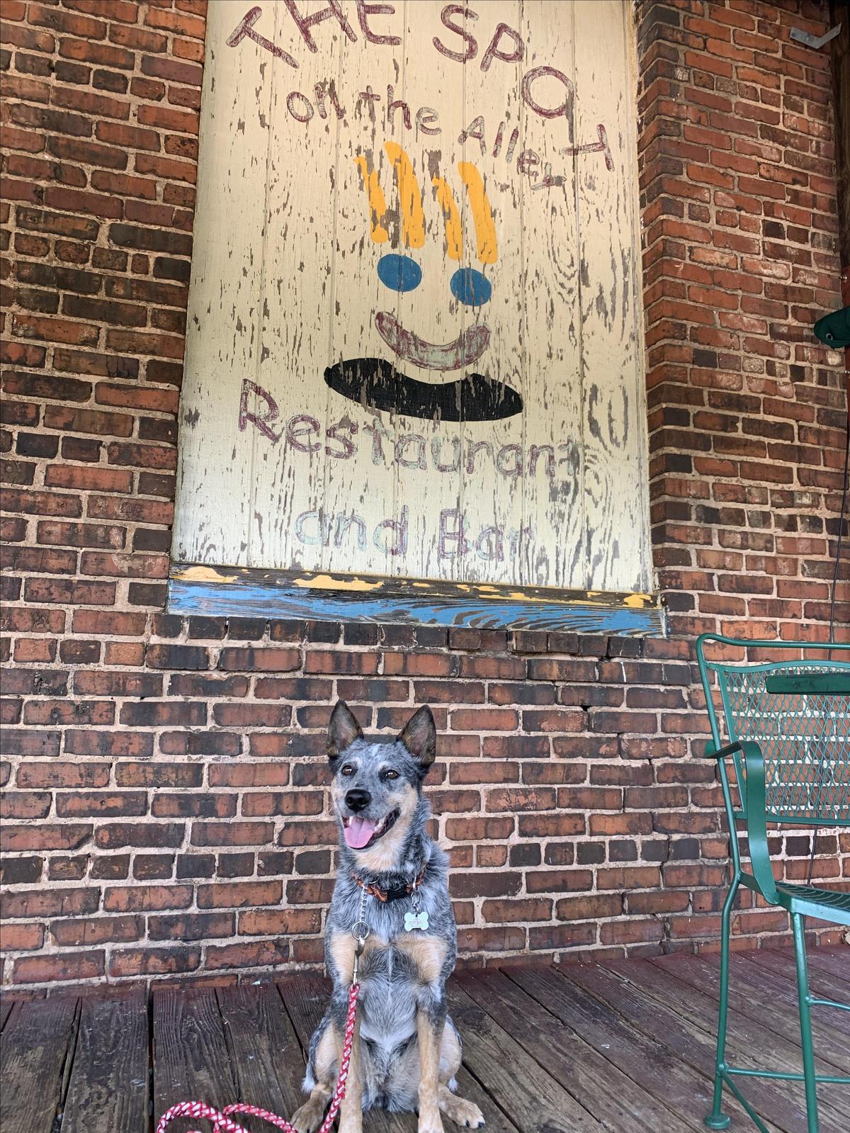 The Spot on the Alley restaurant view 3