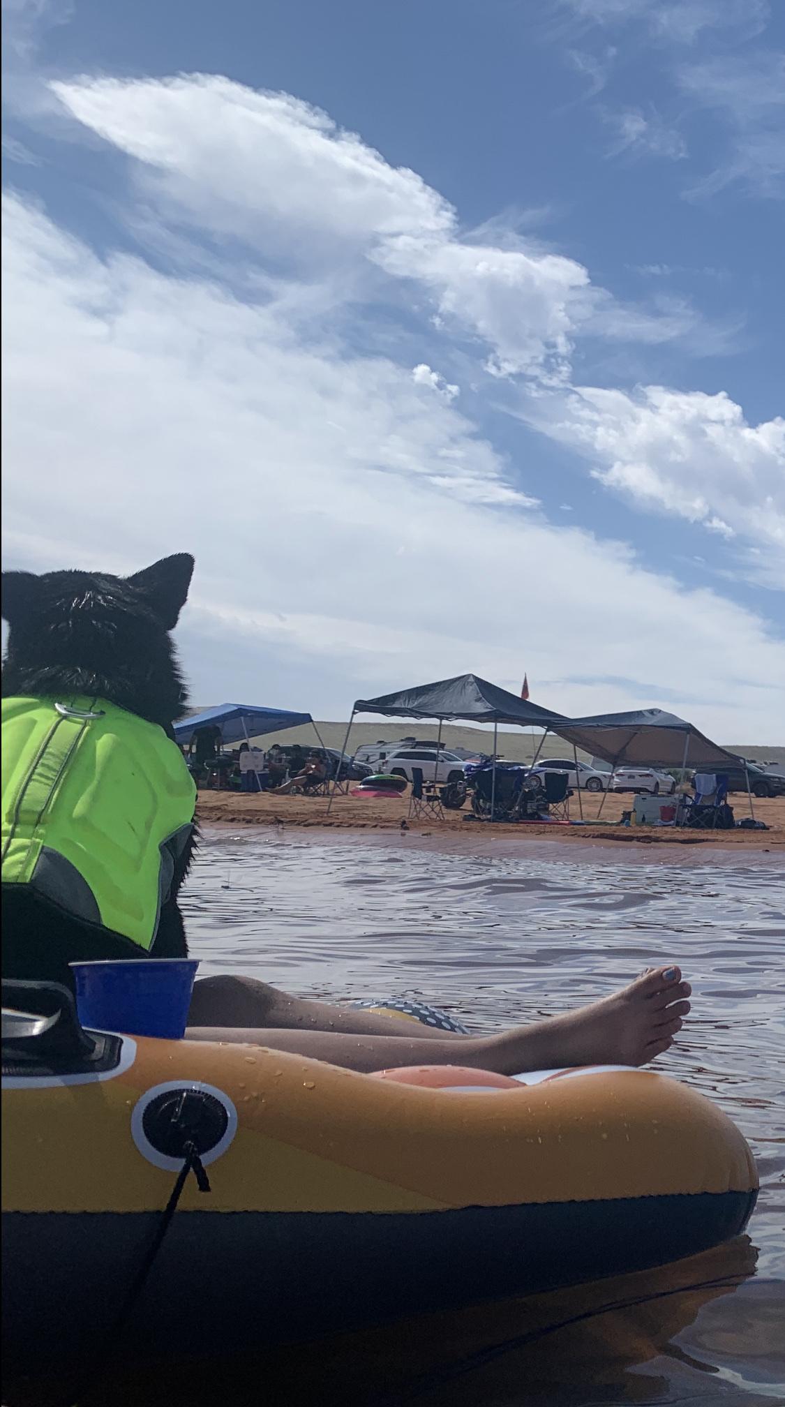 are dogs allowed at sand hollow state park