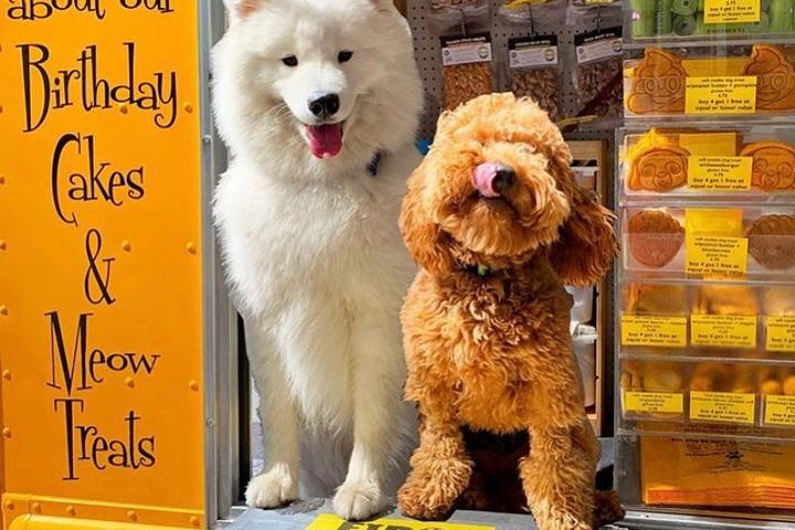 7 Dog Food Trucks Worth Chasing 7 Dog Food Trucks Worth Chasing