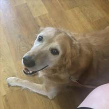 M.B. Haskett Delicatessen restaurant view 3