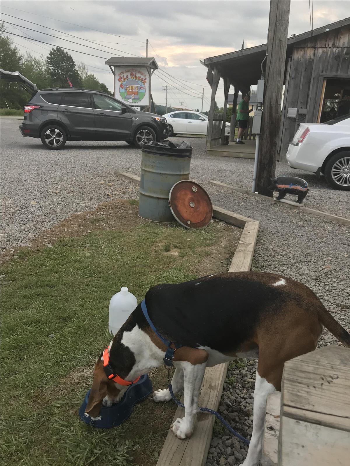 DB's Smokin' BBQ restaurant view 1