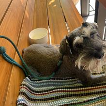 TownHall Ohio City restaurant view 5