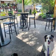 Kitty O'Reilly's Irish Pub restaurant view 4