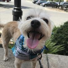 Tun Tavern Restaurant & Brewery restaurant view 7