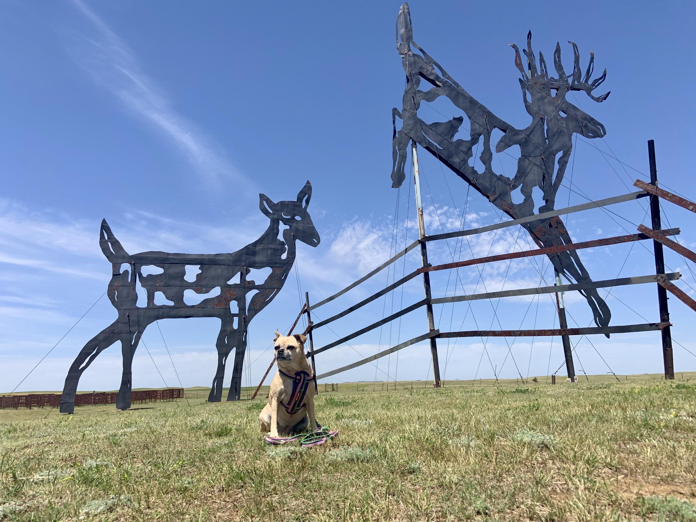 Pet Friendly Enchanted Highway