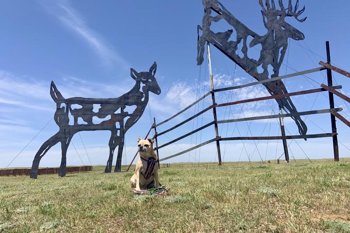Pet Friendly Enchanted Highway