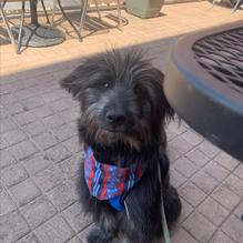 Belleria Pizza and Italian Restaurant restaurant view 1