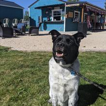 Ruca's restaurant view 3