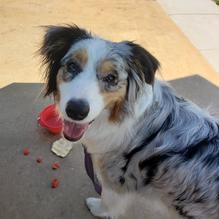 TJ's Harbor Restaurant restaurant view 1