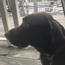 Peter Ott's on the Water restaurant view 3