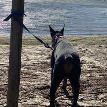 Fishetarian Fish Market restaurant view 2