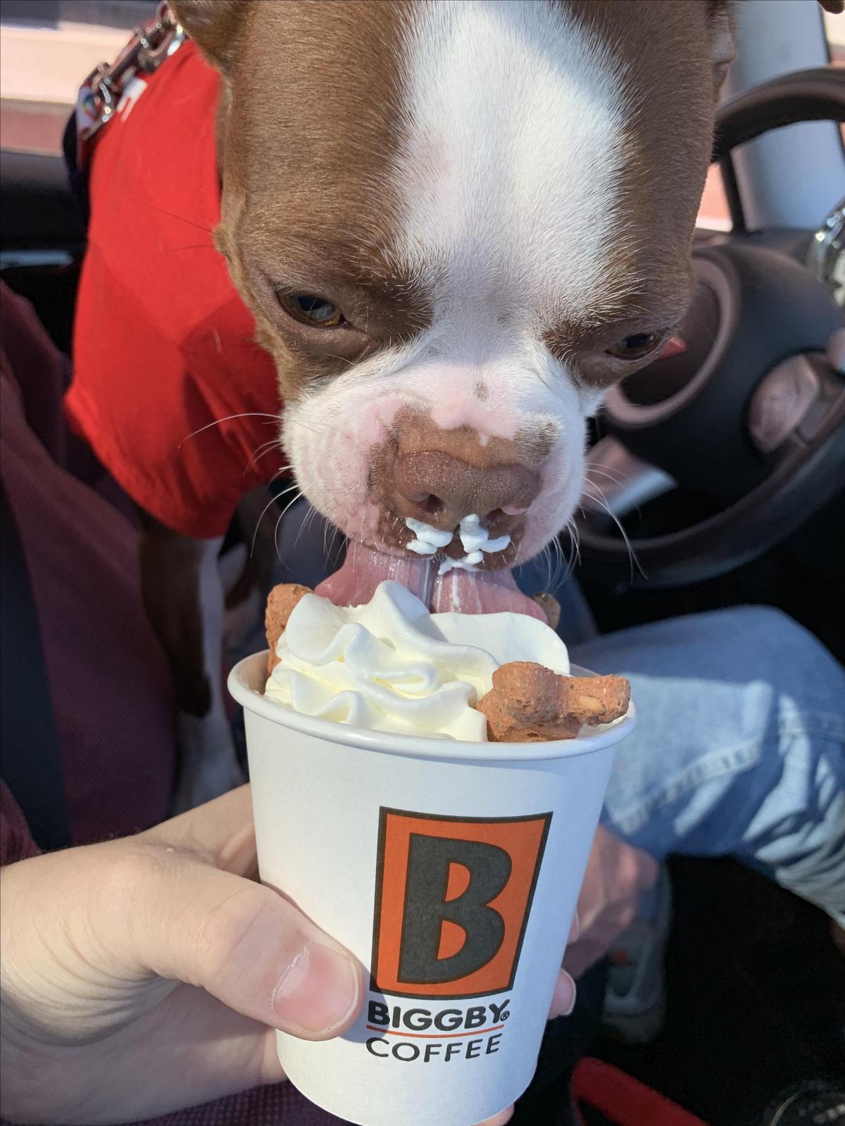 Biggby Coffee restaurant view 1