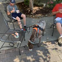 Hocking Hills Frozen Yogurt Company restaurant view 1