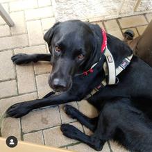 The Brass Tap restaurant view 1