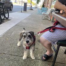 The Chatterbox restaurant view 2