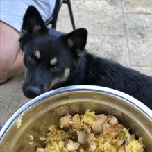 Tun Tavern Restaurant & Brewery restaurant view 6