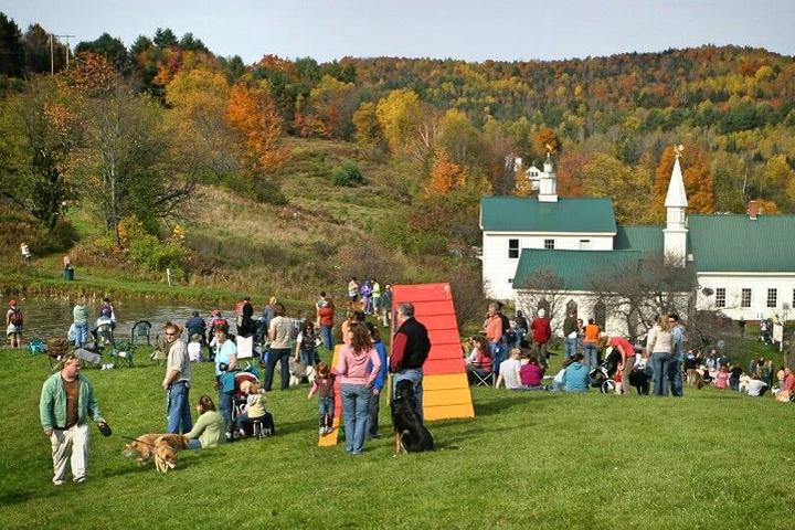 A bunch of people and their dogs having fun at the Dog Mountain