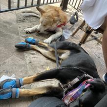Katz's Express restaurant view 1
