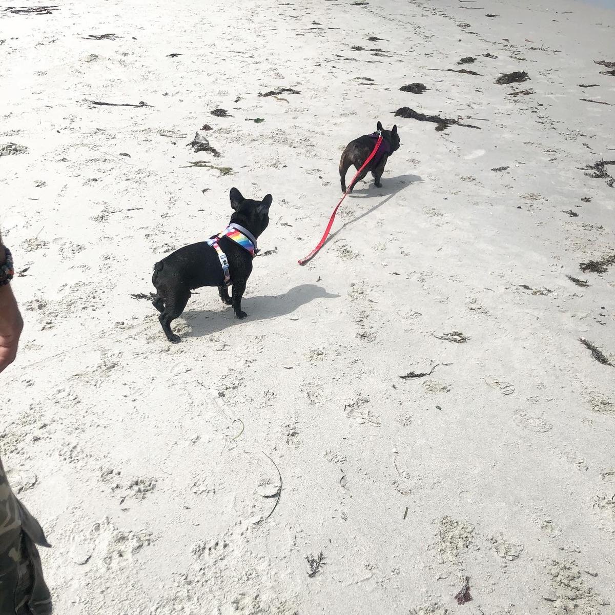 First Time At The Beach