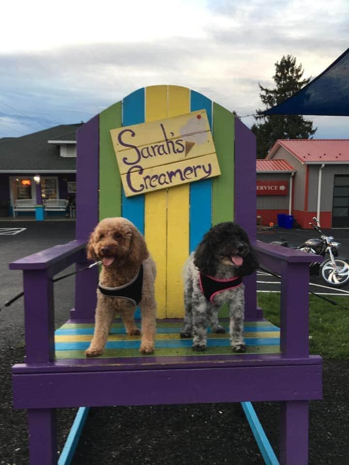 Sarah's Creamery restaurant view 8