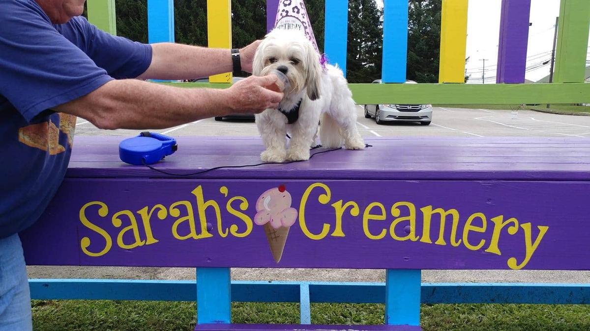 Sarah's Creamery restaurant view 4