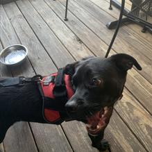 Gasthaus Le Cafe restaurant view 1