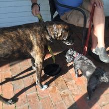 Jameson Tavern Restaurant restaurant view 2