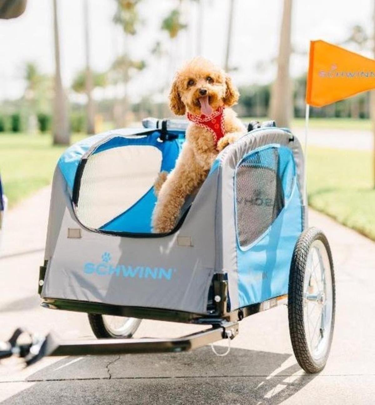 Schwinn dog trailer sales