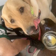 Governor Bradford Restaurant restaurant view 2