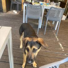 Hatch Taqueria & Tequilas restaurant view 10