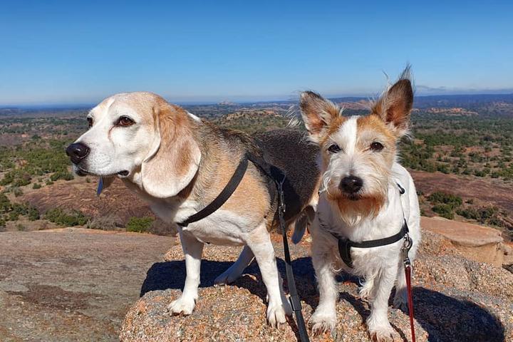 Pet Friendly Enchanted Rock State Natural Area