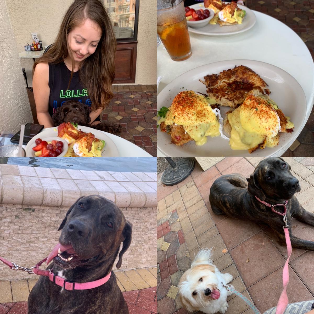 Saturday Girls puppy brunch!