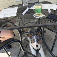 VI Grill restaurant view 3