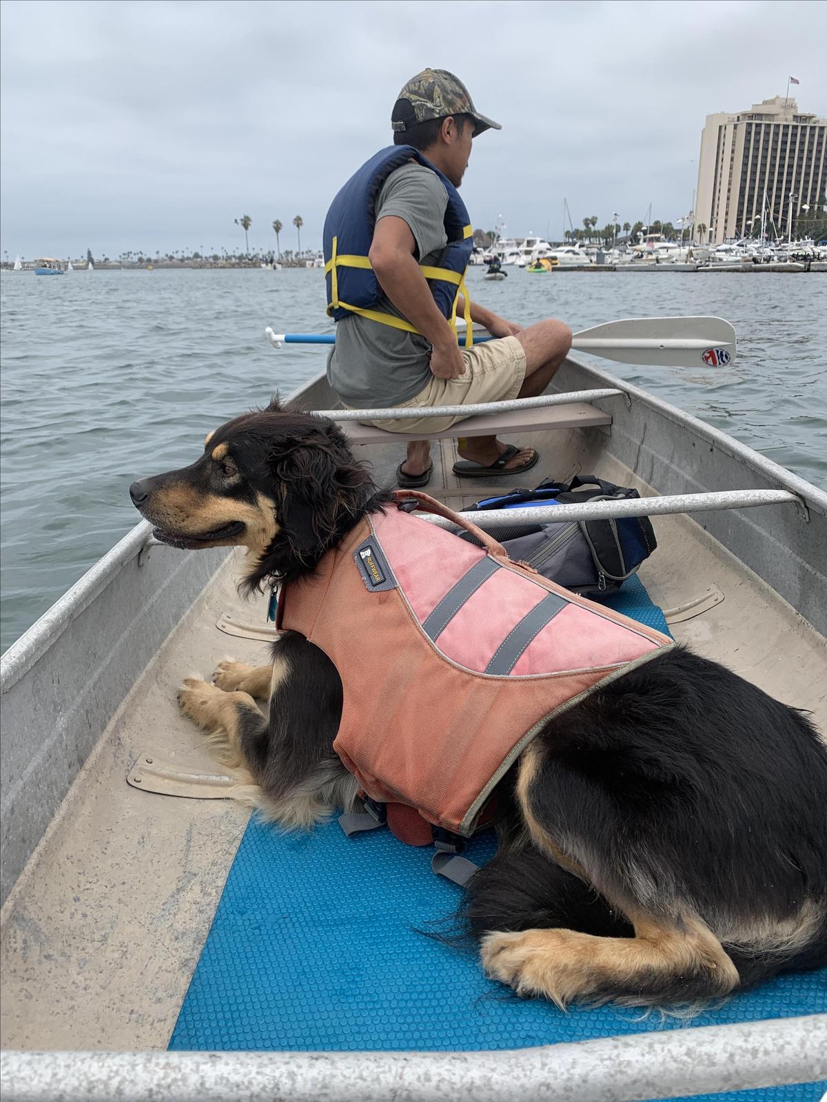 Canoes And Canines