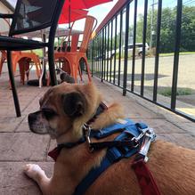 Macdaddy's Macaroni & Cheese restaurant view 1