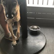 R Bar & Grill restaurant view 5