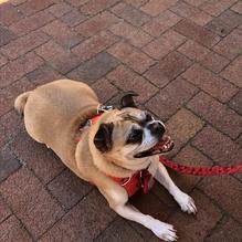 Lobster Cooker restaurant view 2