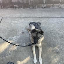 Granite's Famous Cheesesteaks & Wings restaurant view 1