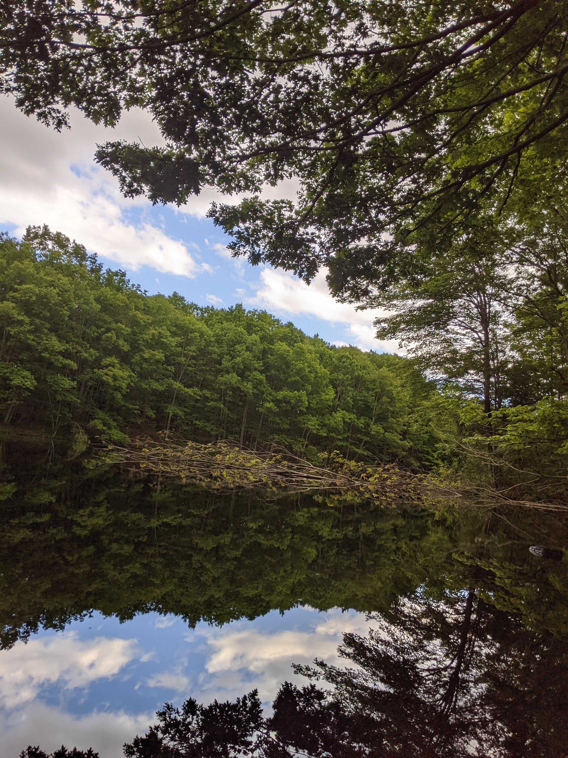 Hinckley Park ⋆ BringFido