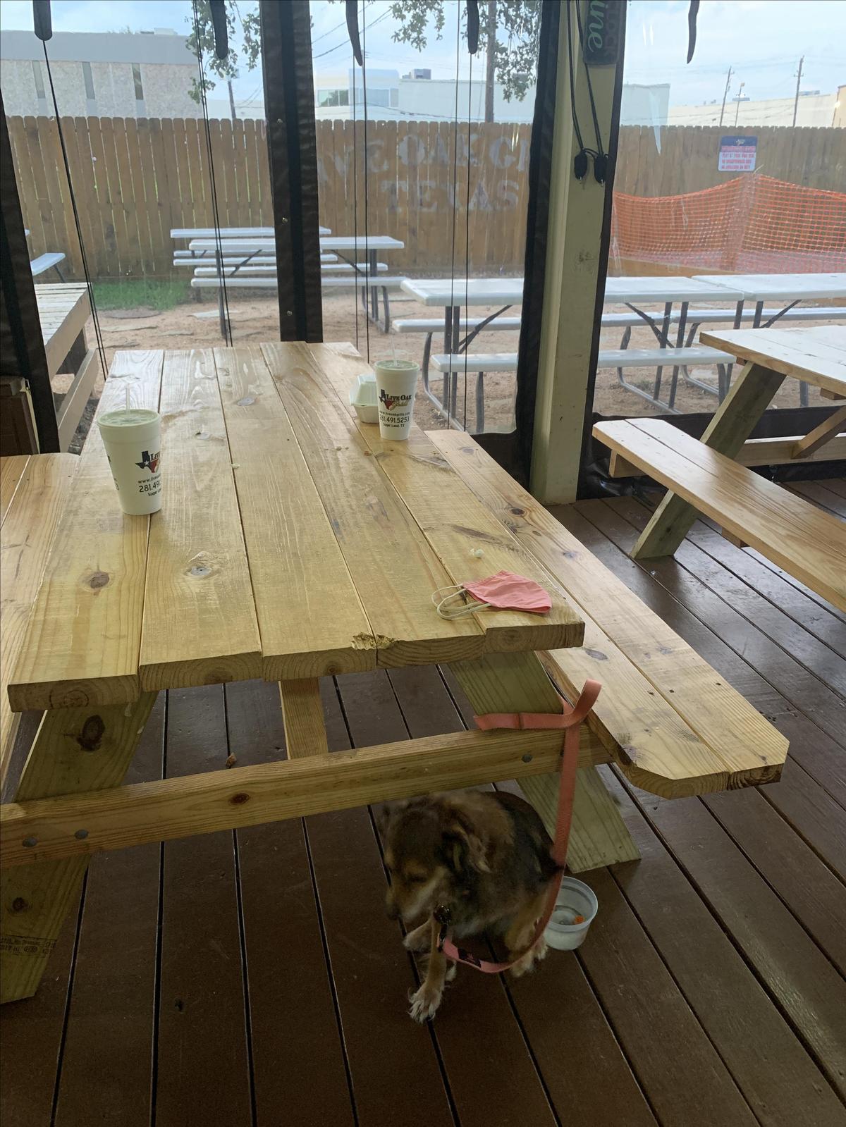 Live Oak Grill restaurant view 2
